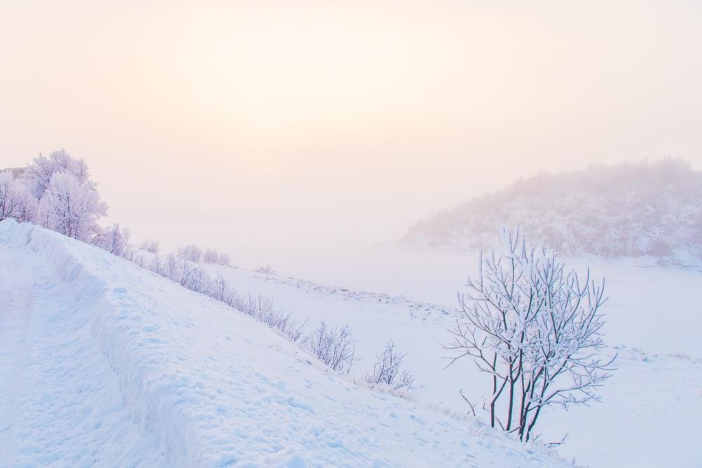 winter rauland telemark norway snow fog