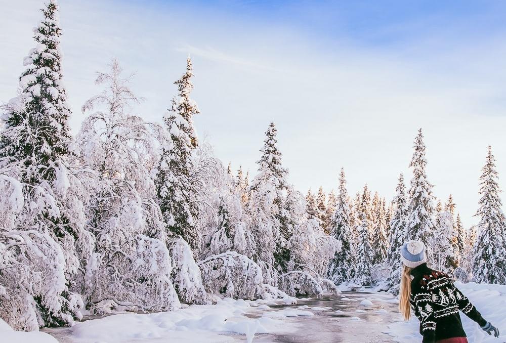 winter rauland telemark norway snow