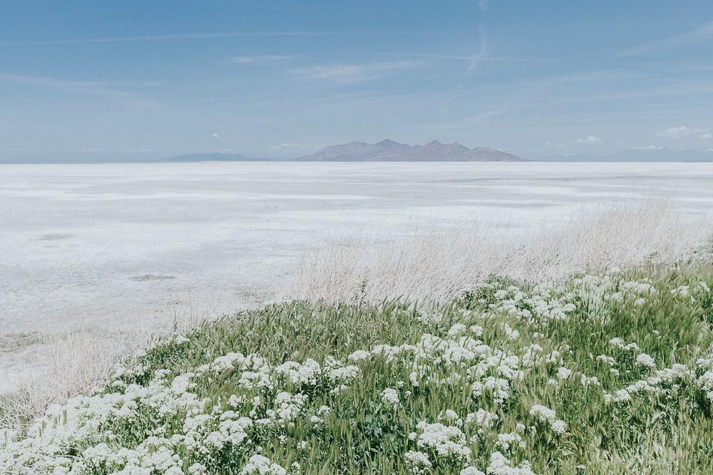 the great salt lake utah