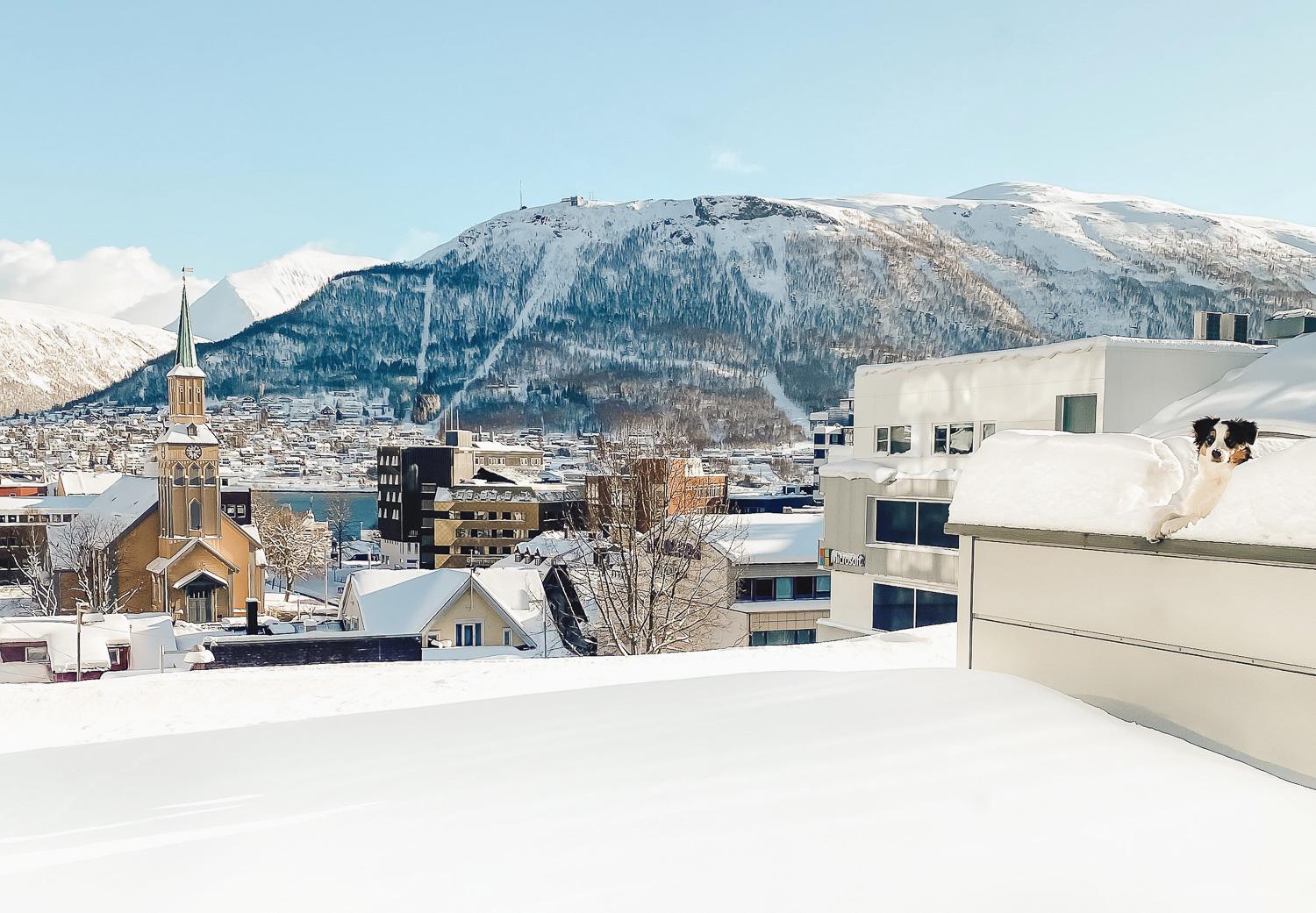 downtown tromsø in winter